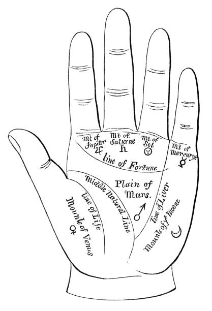 変形マスカケ線の橋渡しとは？ 女性の右手にや両手によくある？