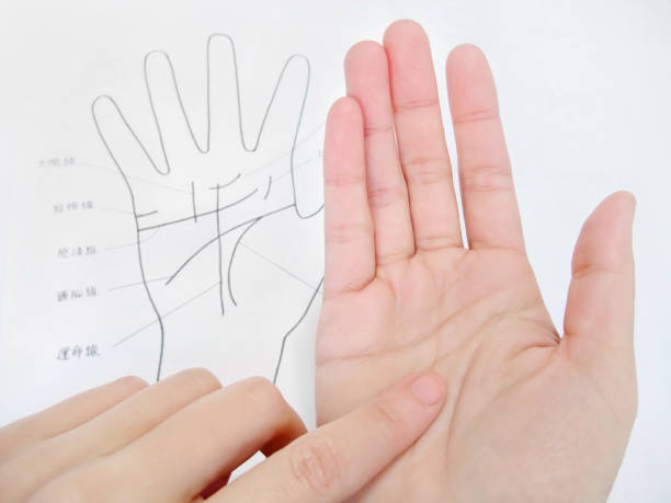 生命線が二股に分かれる島の意味とは？右手か左手どちらかや年齢の見方まで調査！